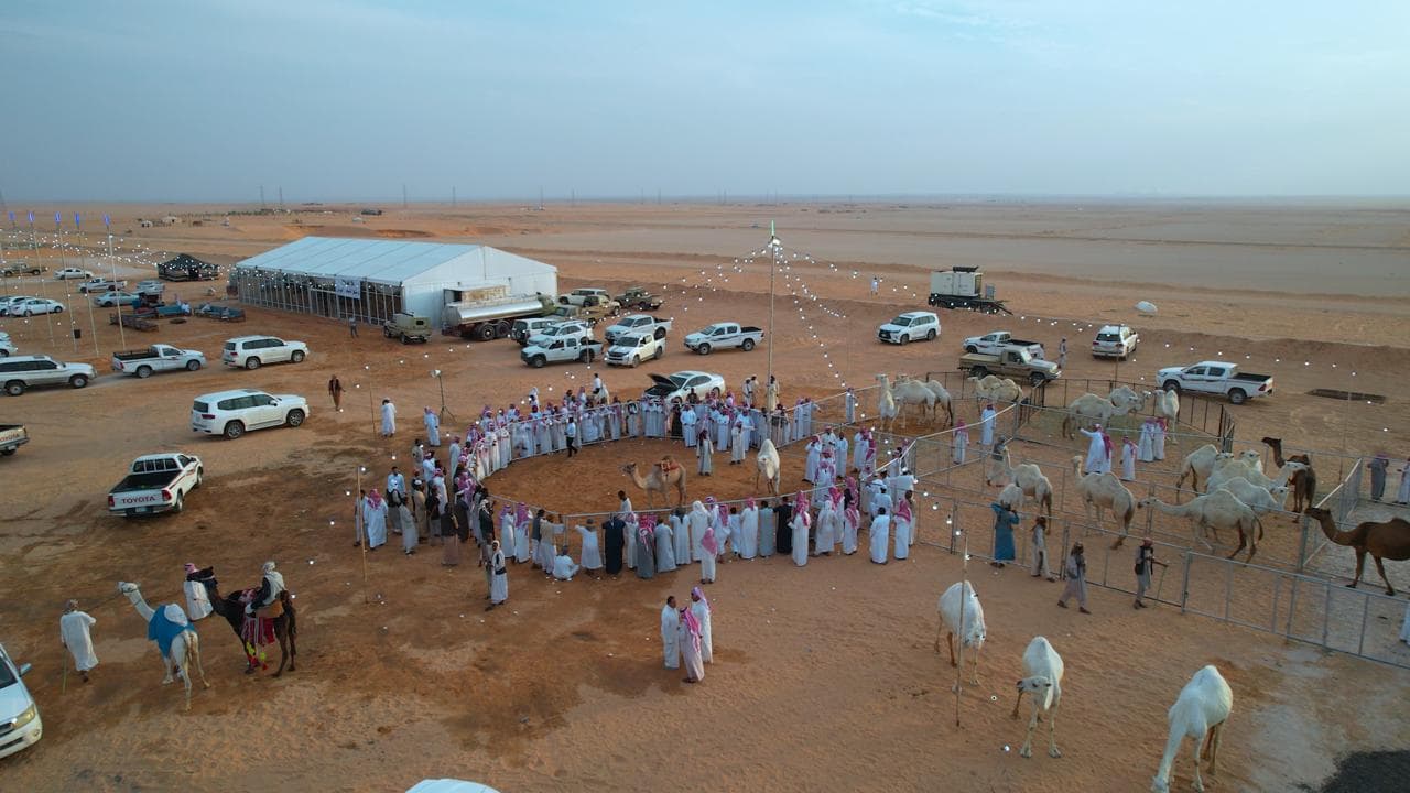 أنطلاق مهرجان العقيلات لمزاد الإبل الثالث بمنطقة القصيم 