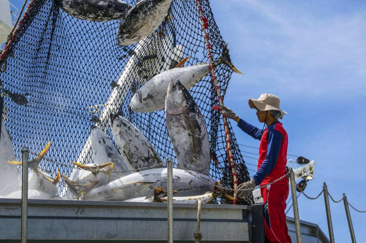 عملية تصريف المياه المشعة لقيت معارضة شديدة من قبل مجموعات الصيد والدول المجاورة.