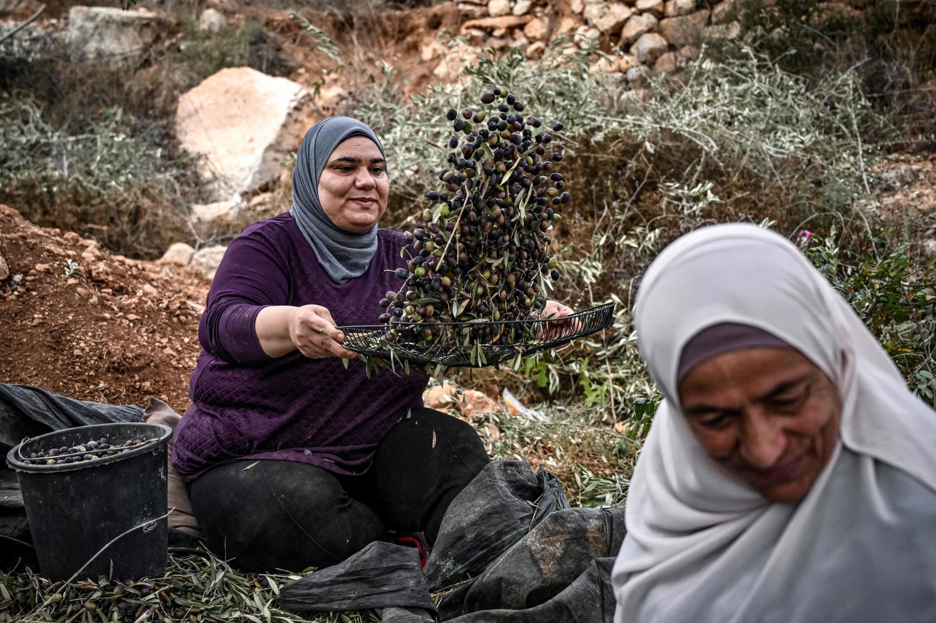 وسط ويلات الحرب .. حياة الفلسطينيين لا تتوقف 