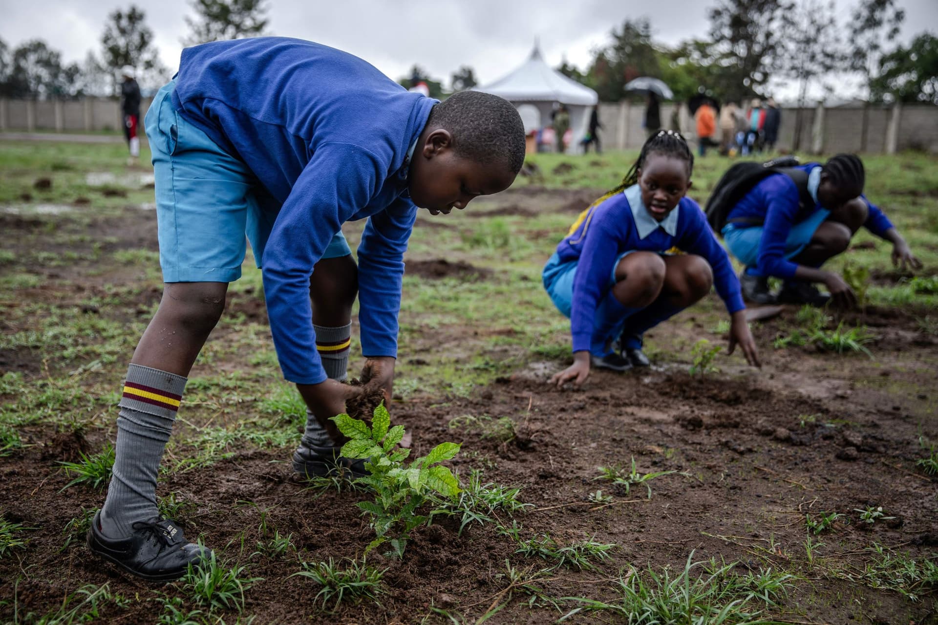 عطلة رسمية في كينيا لزراعة 100 مليون شجرة