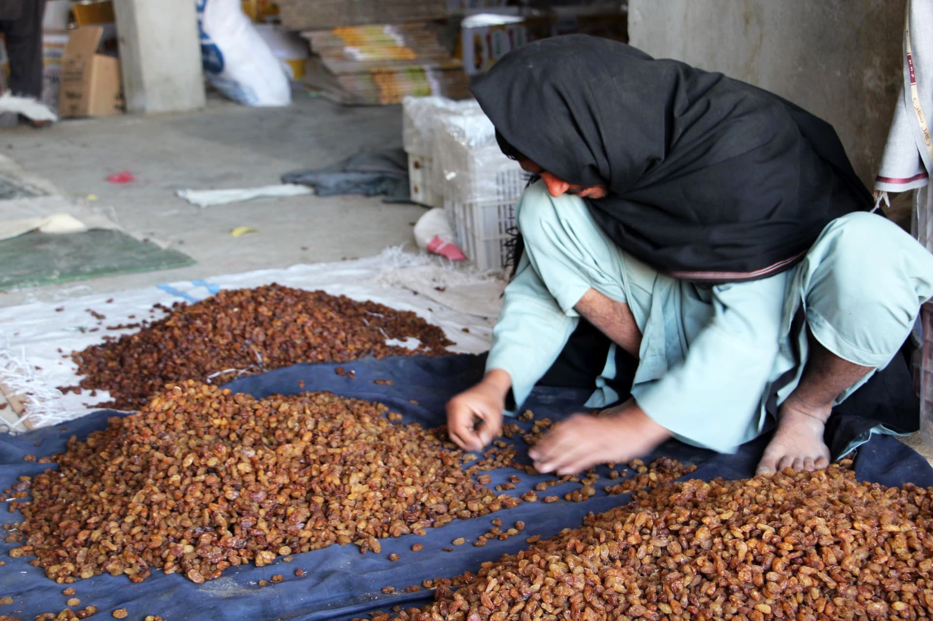قندهار تصدر فواكه مجففة بـ 95 مليون دولار