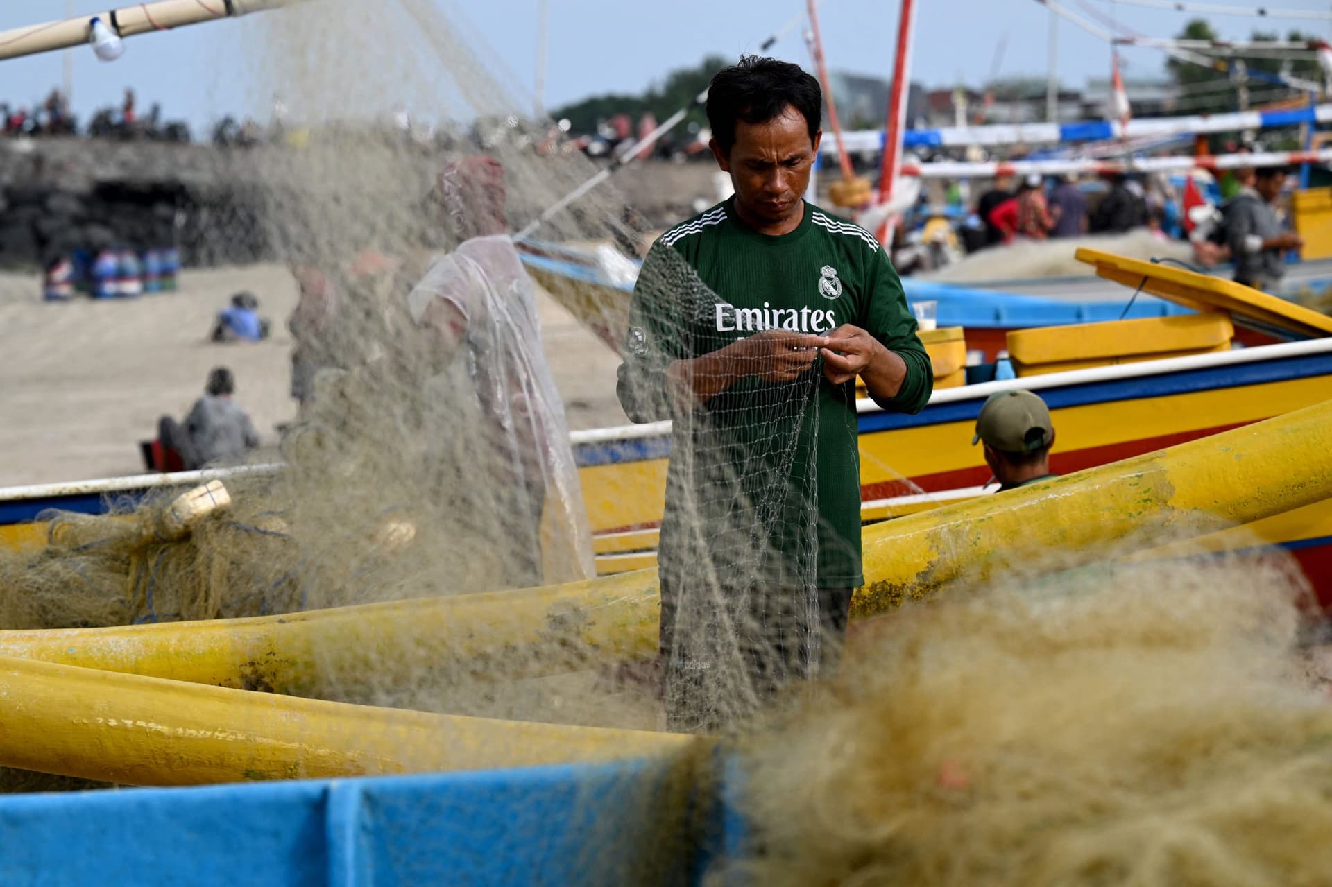 سمكة المارلين