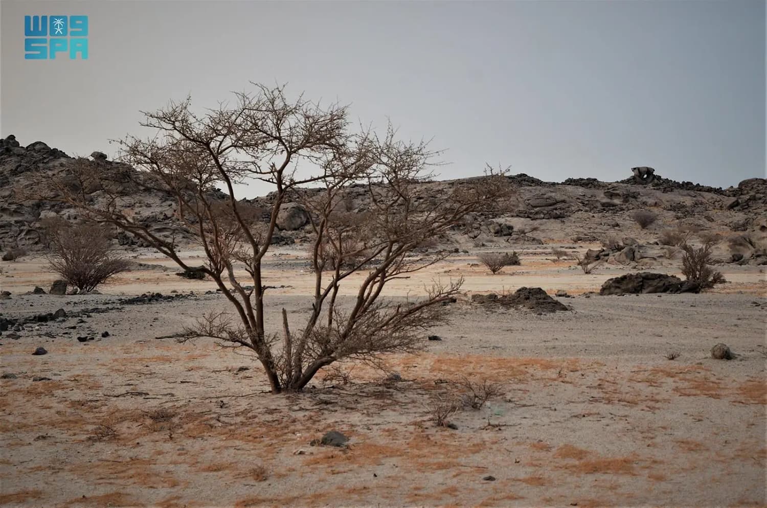 جبل القمر .. وجهة سياحية واعدة