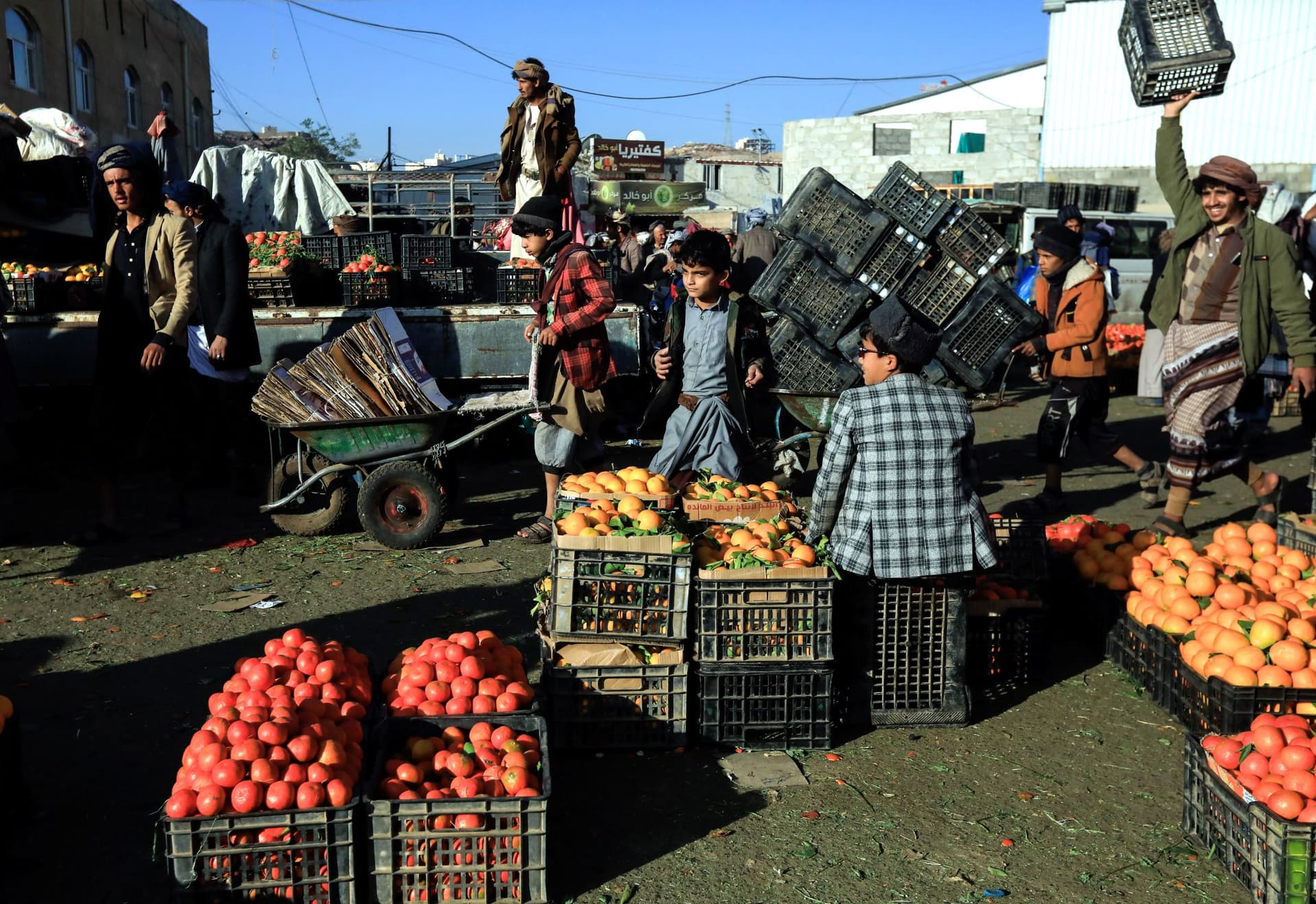 اليمن .. موسم اليوسفي والبرتقال