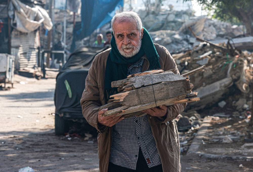 فلسطيني يجمع الخشب لاستخدامه في الطهي والتدفئة.
