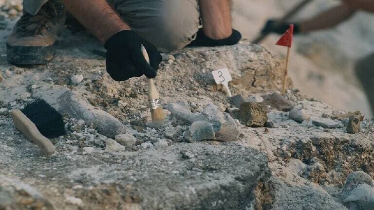 انخفاض النشاط العقاري للأسبوع الثاني بضغوط من القطاع السكني