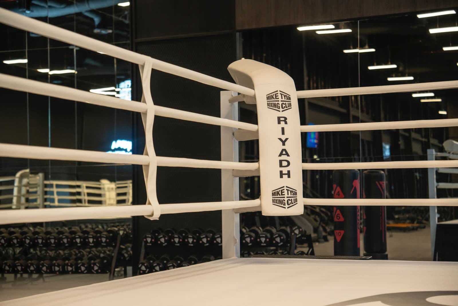 نادي مايك تايسون يفتح باب التسجيل لموهوبي الملاكمة في السعودية