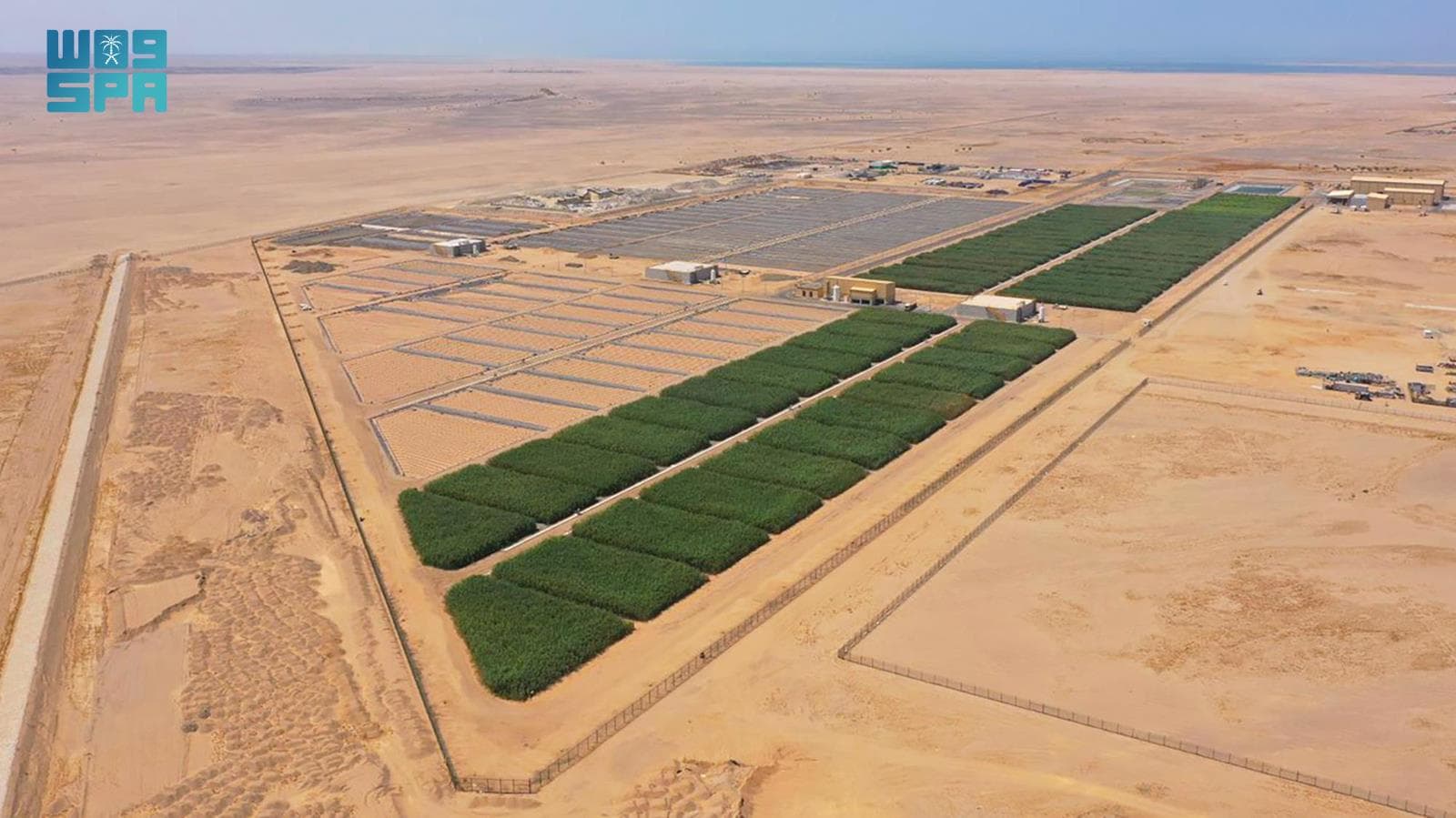  حل بيئي مستدام لمعالجة المياه .. إنشاء 80 ألف متر مربع من الأراضي الرطبة 