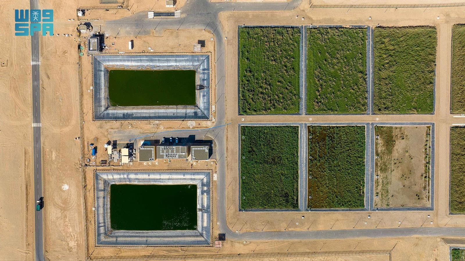  حل بيئي مستدام لمعالجة المياه .. إنشاء 80 ألف متر مربع من الأراضي الرطبة 