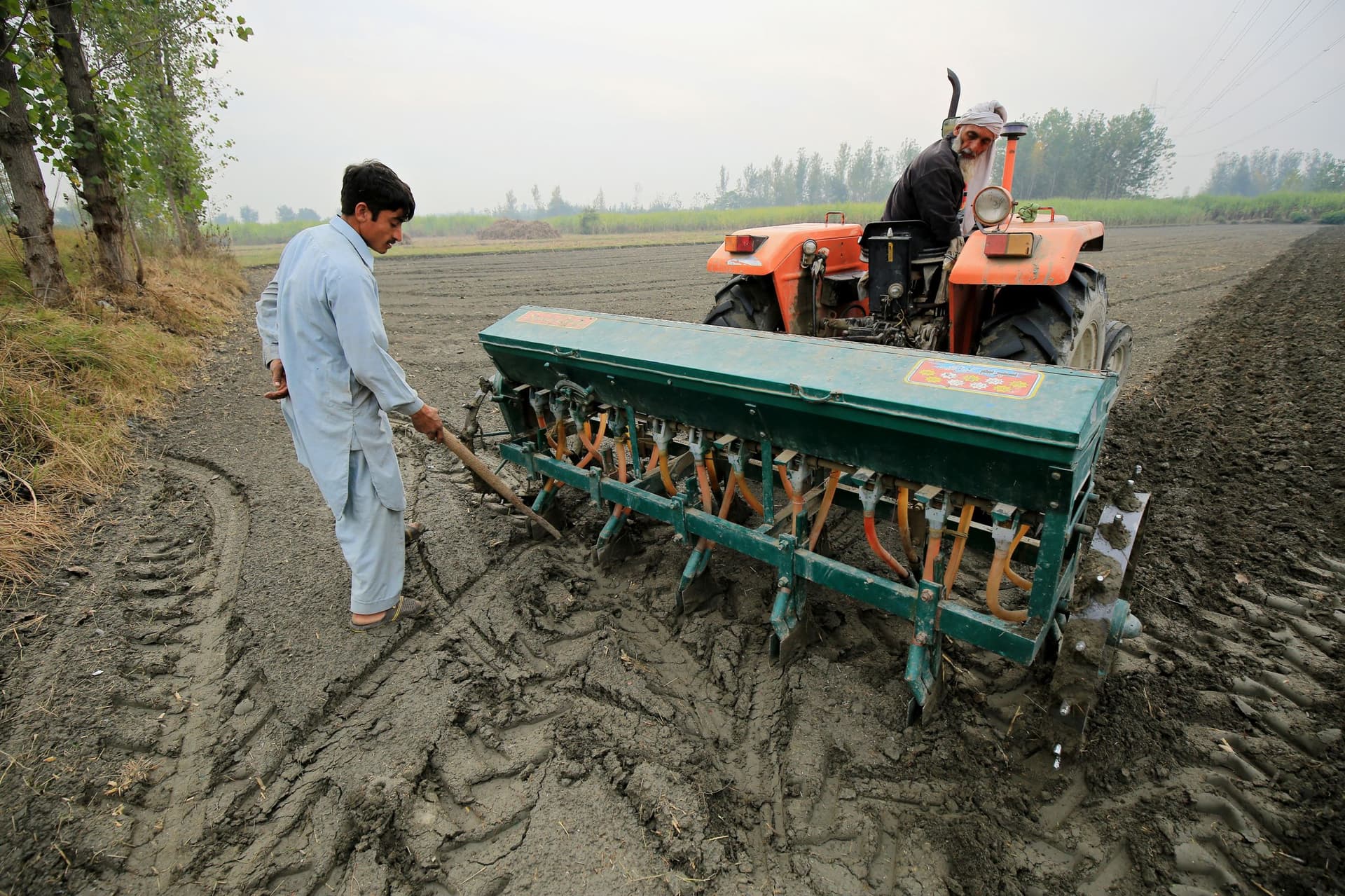 حقول باكستان تمتلئ بالبذور