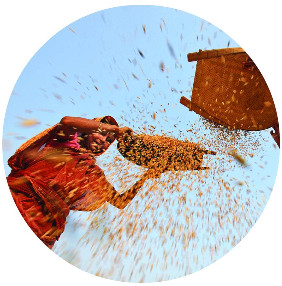 بنجلادش أمام مشهد غذائي مليء بالمفارقات .. الجوع وحش عصي على الترويض