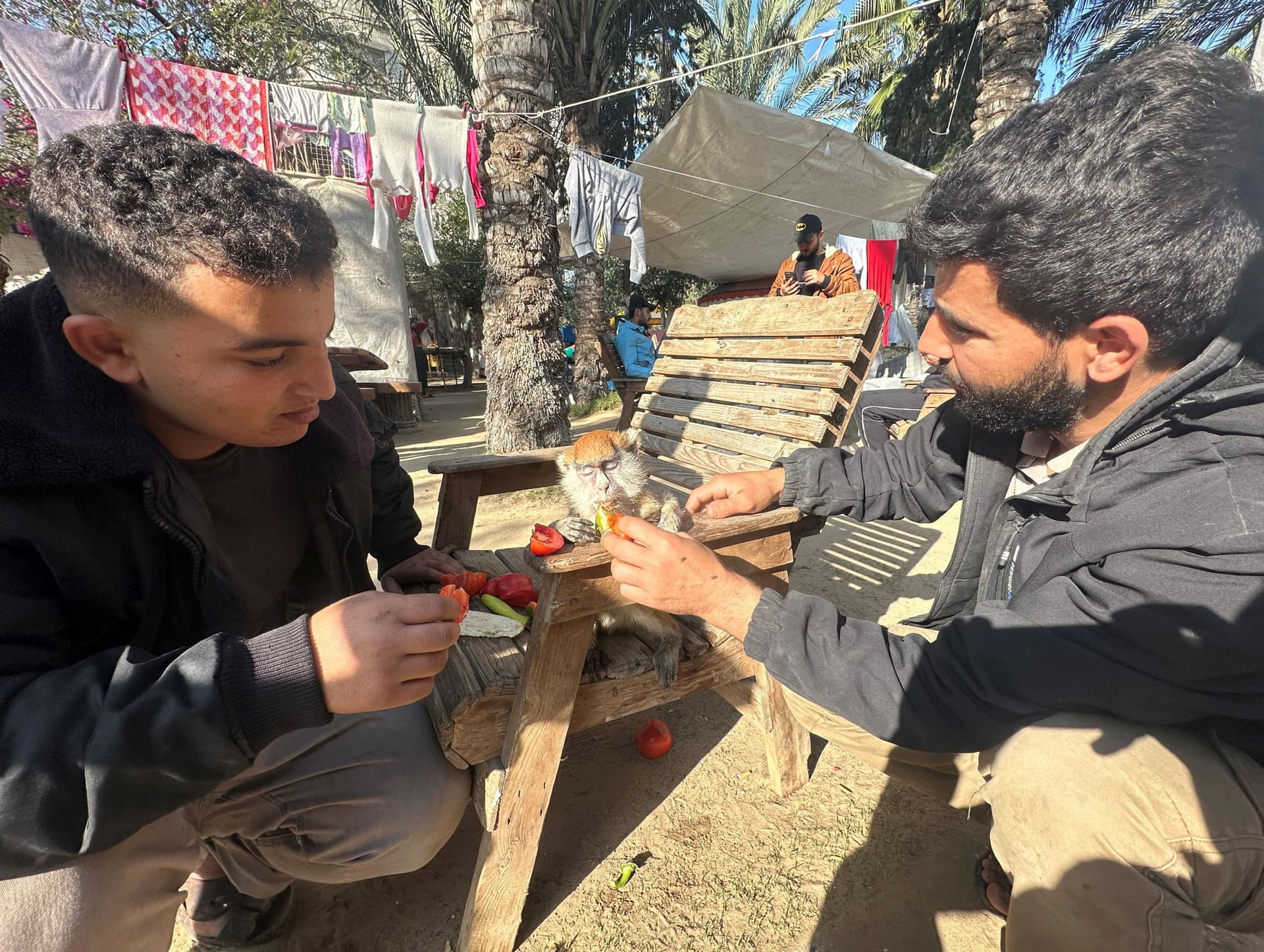 الجوع يحاصر الحيوان والإنسان في حديقة حيوانات بغزة