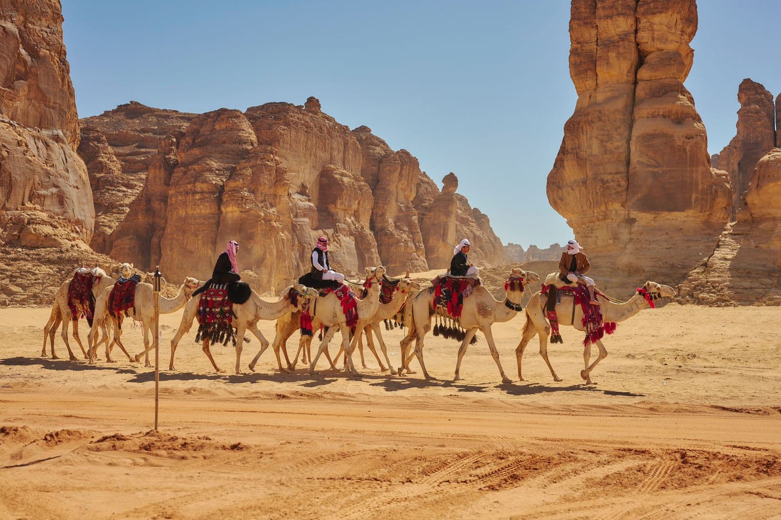لحظات العلا تكشف تفاصيل النسخة الثالثة من بطولة ريتشارد ميل العلا لبولو الصحراء