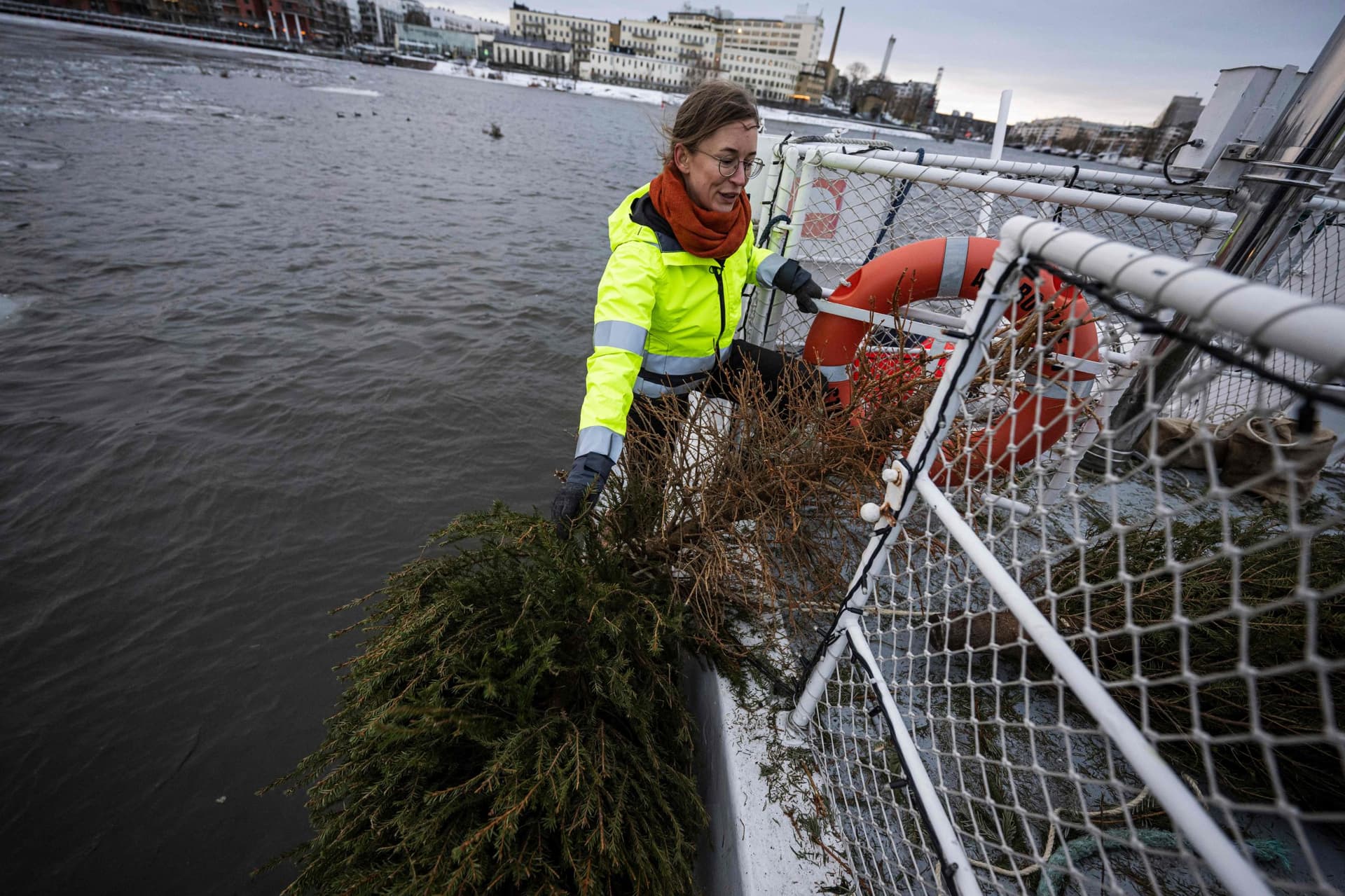 بعد تزيينها داخل المنازل .. أشجار الميلاد هدية للأسماك في السويد
