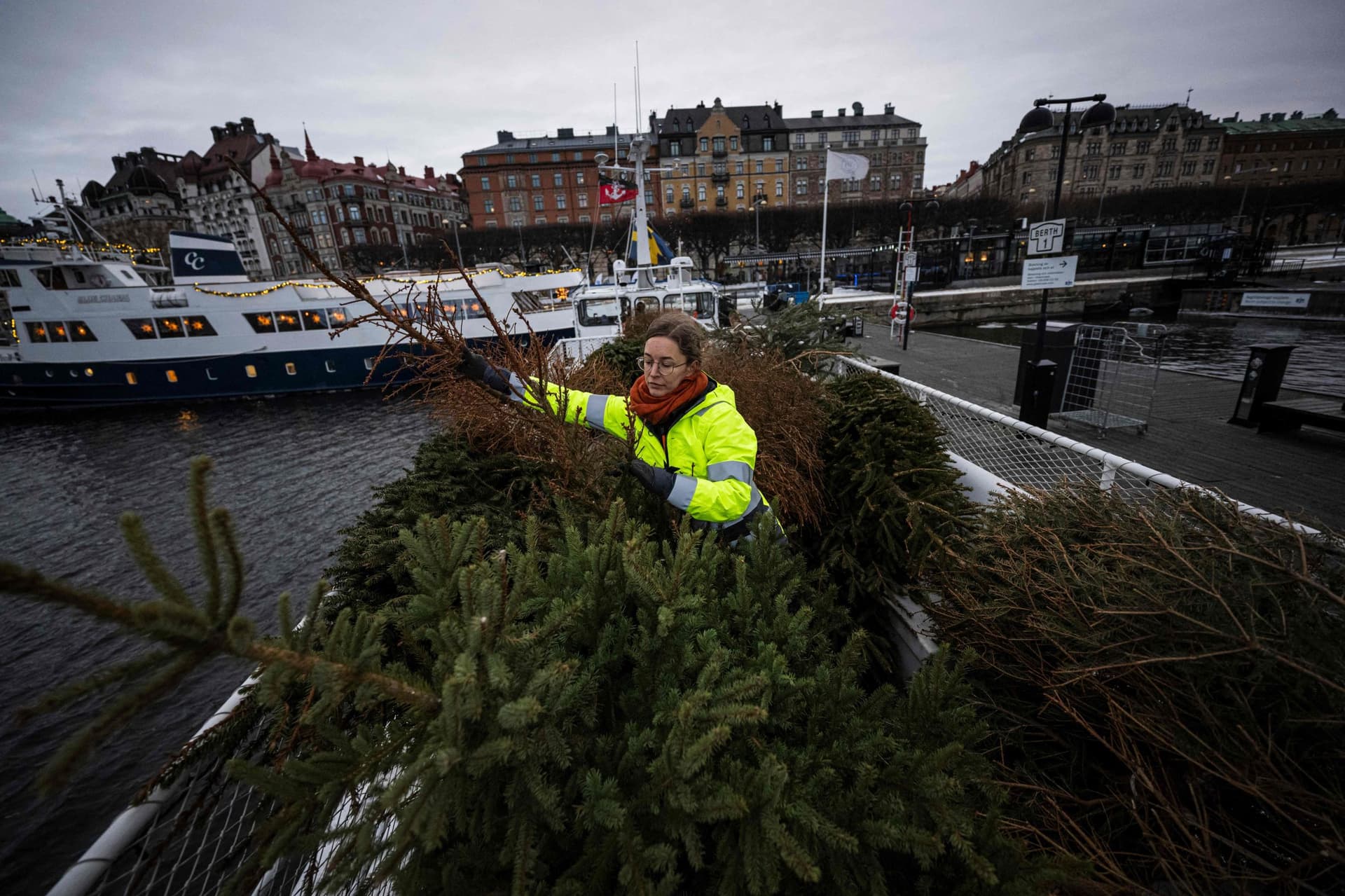 بعد تزيينها داخل المنازل .. أشجار الميلاد هدية للأسماك في السويد