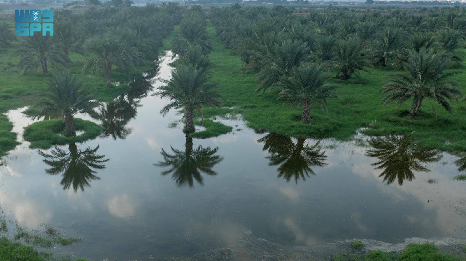 يعد الوادي واحدا من أهم المواقع السياحية وأبرزها في خليص