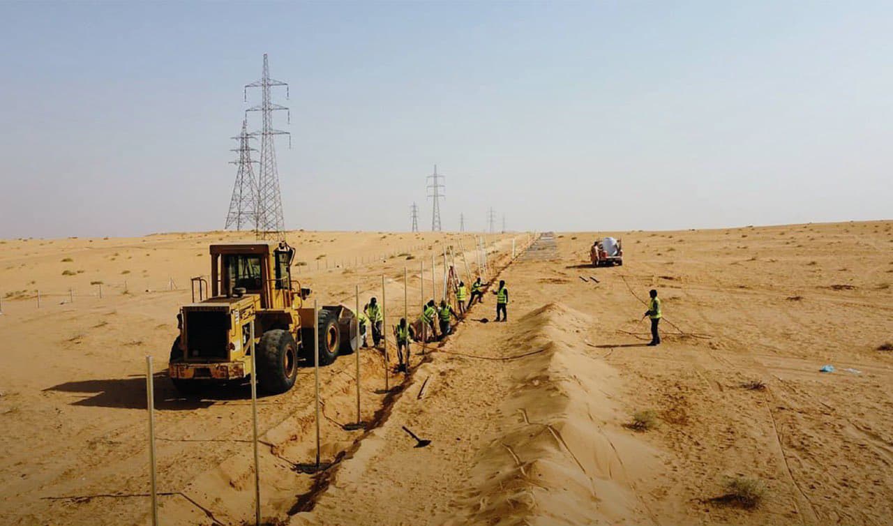 الاستراتيجية توفر حلولا مبتكرة للتغلب على الظروف المناخية الجافة. المصدر: المركز الوطني لتنمية الغطاء النباتي ومكافحة التصحر