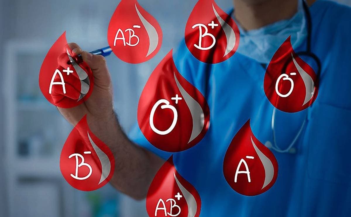 صندوق النقد : الغذاء يمثل 40 % من إنفاق المستهلكين في الشرق الأوسط وإفريقيا