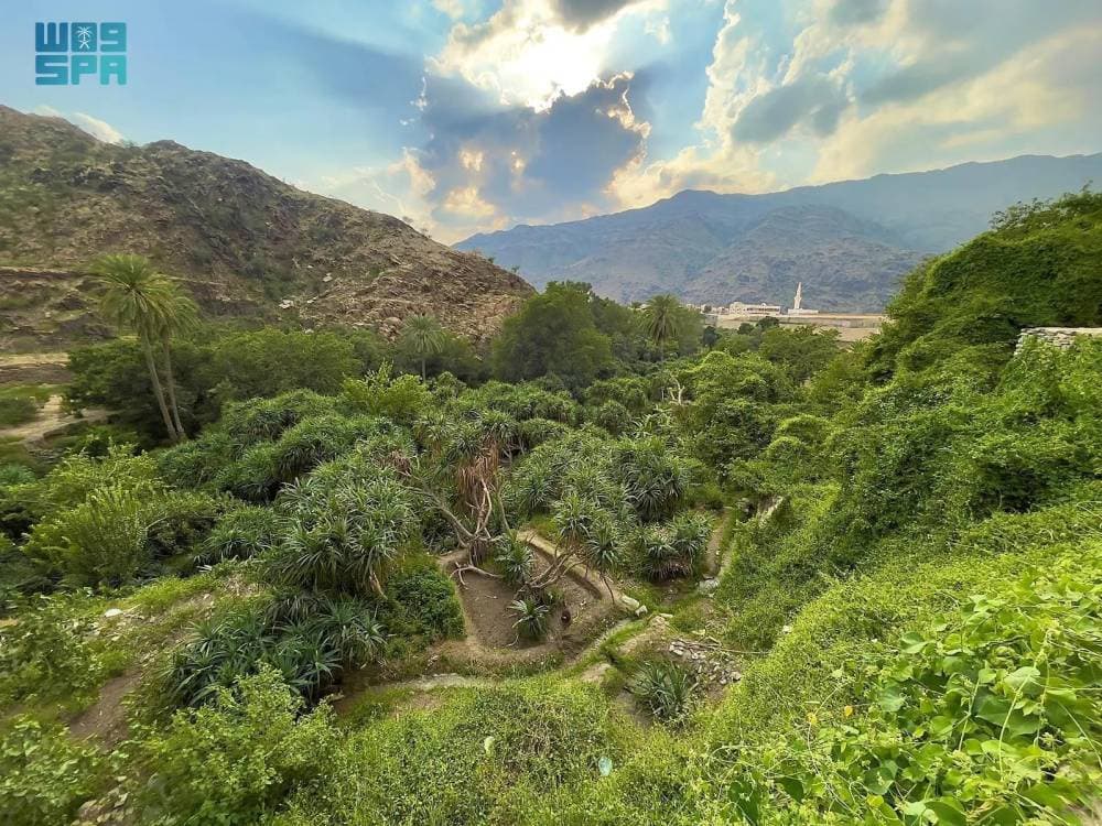 نزاع ليتوانيا وروسيا بشأن عبور قطارات البضائع الروسية