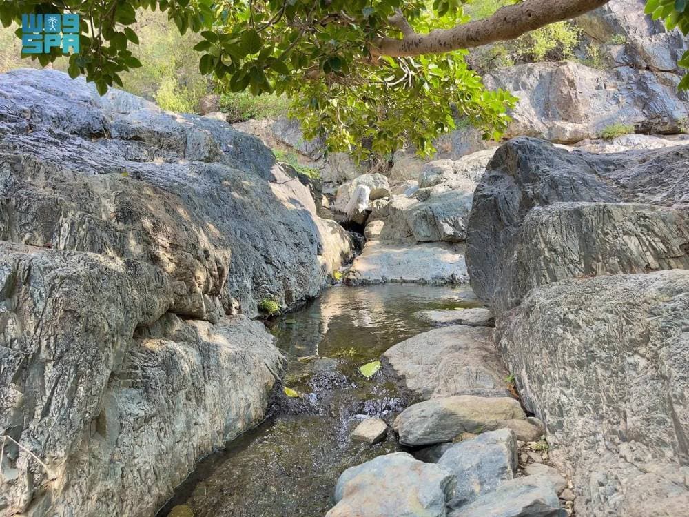 تلسكوب جيمس ويب الفضائي يرسل الصور الأولى