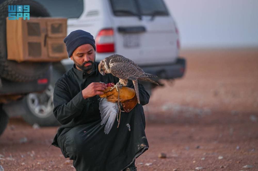 "هدد الطير" .. أحد أهم طرق تدريب وصيد الصقور البرية