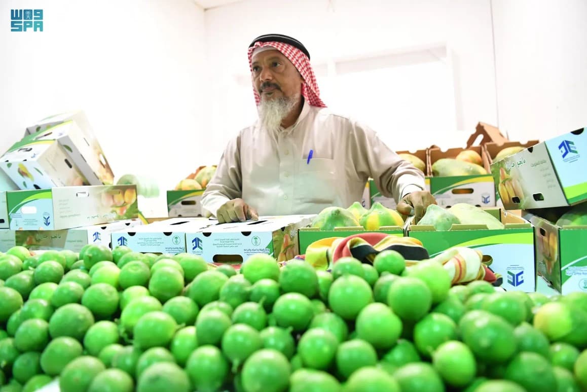 السعودية تعتمد إنشاء مدينة زراعية في جازان وتطرحها أمام المستثمرين