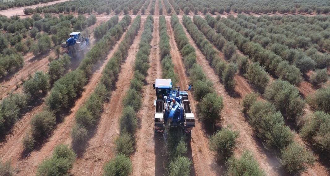 الصندوق أطلق مبادرات وبرامج تمويلية جديدة لتشجيع الاستثمار في القطاع الزراعي. "واس"