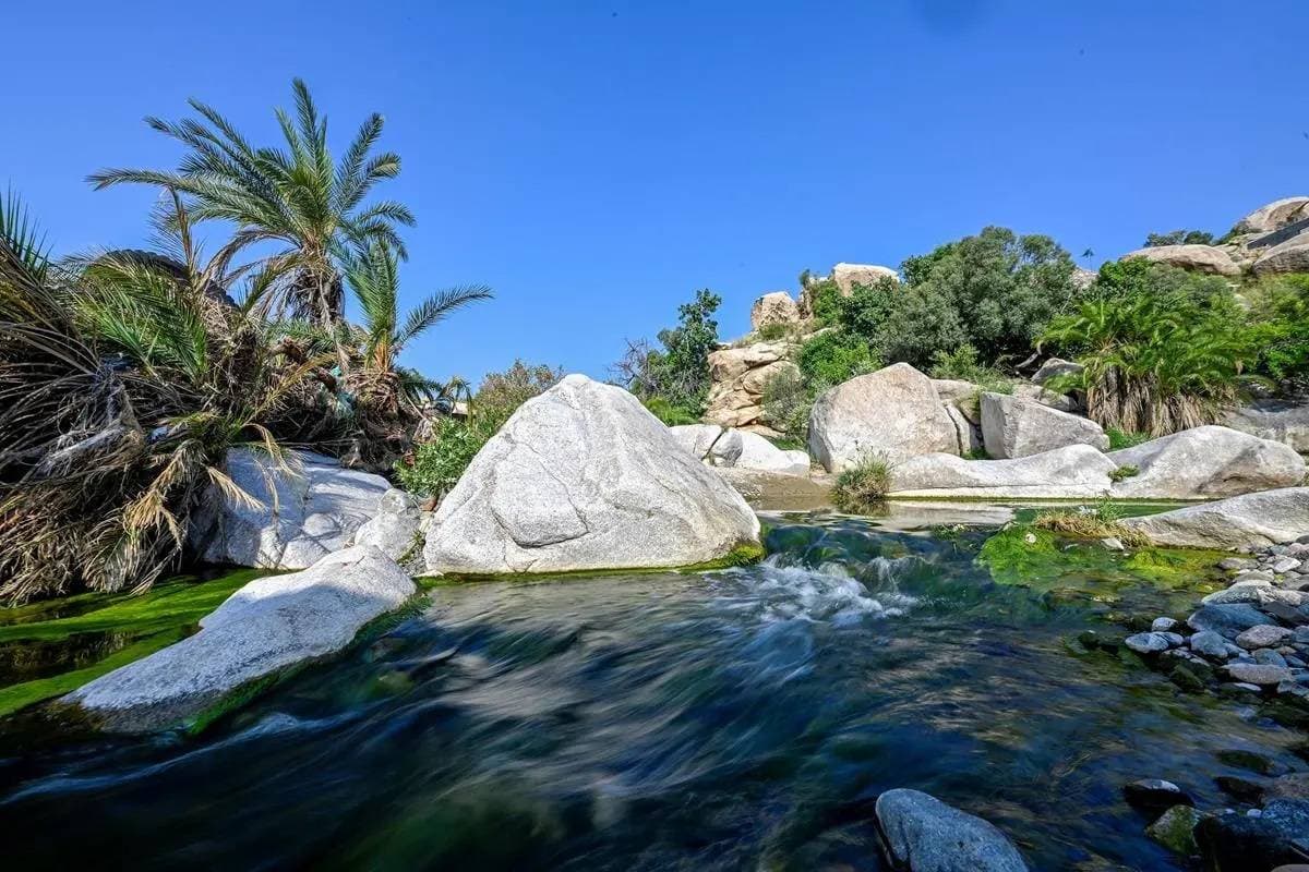 يقدر معدل سحب المياه الجوفية في السعودية بنحو 20 مليار متر مكعب سنويا. "واس"