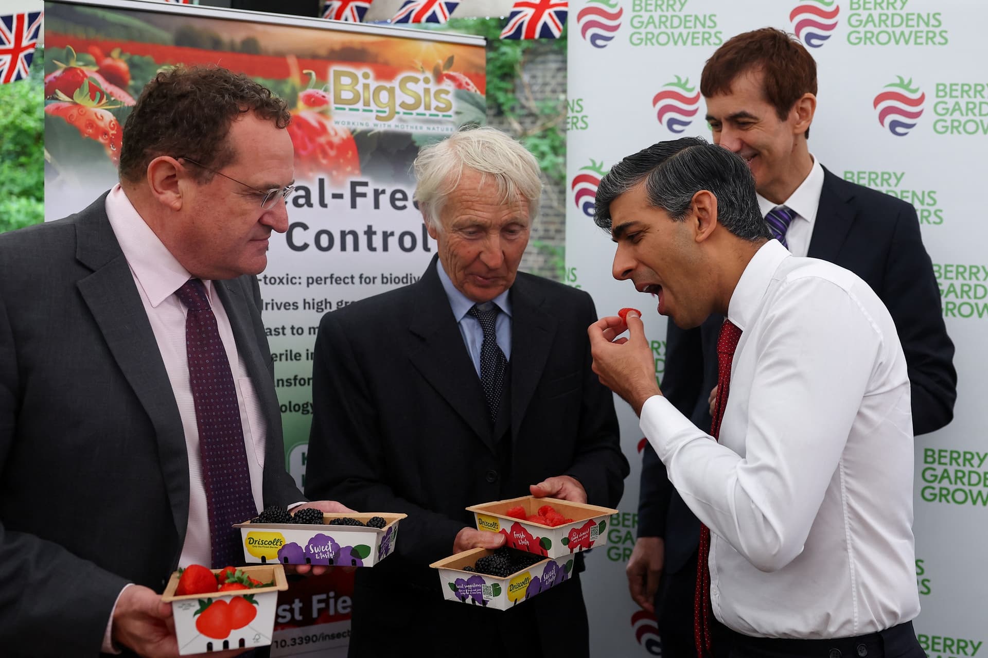 فاكهة سوناك 