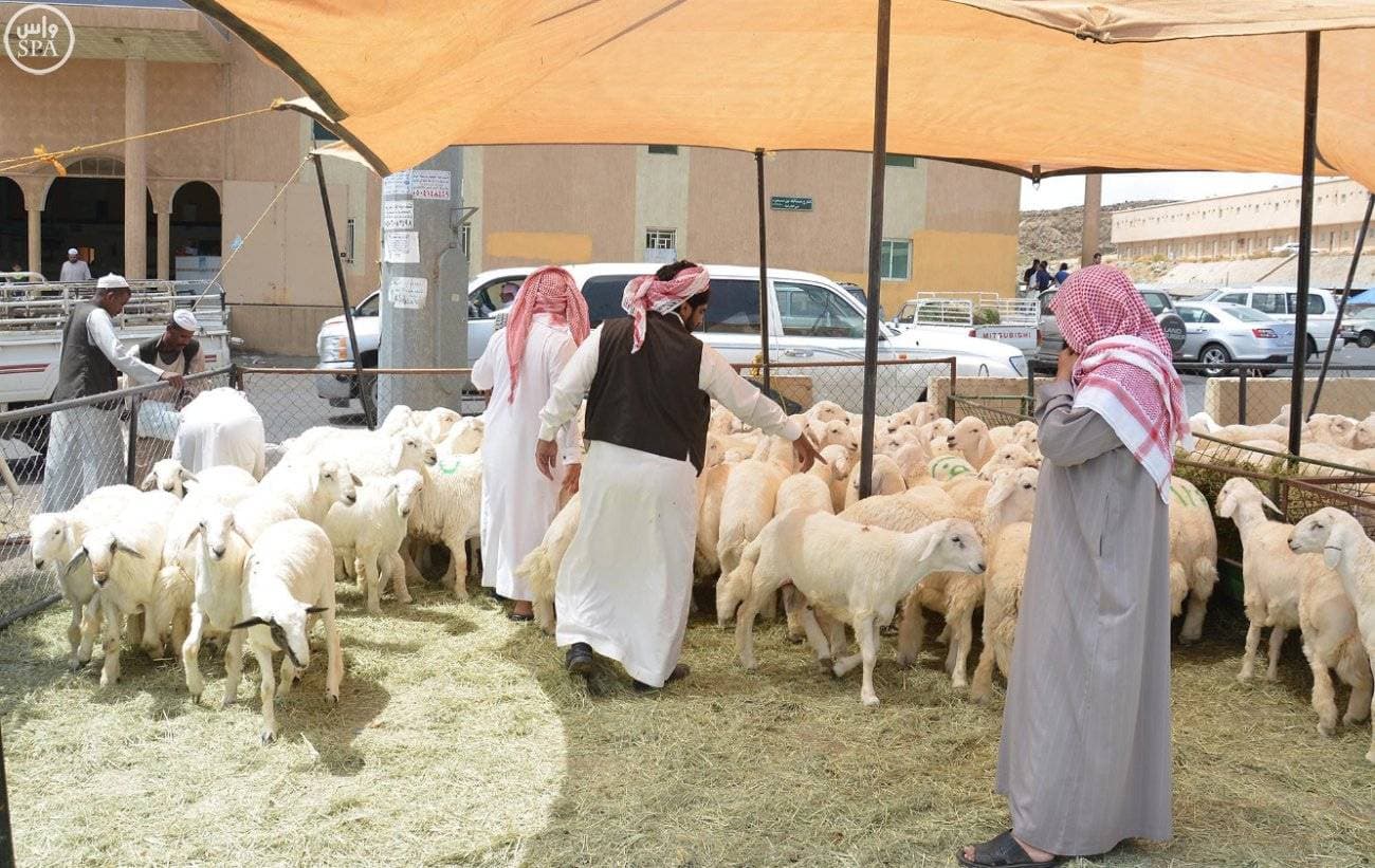 عديد من الجمعيات الخيرية تقدم الأضحية بأسعار متفاوتة ترواح بين 650 و1450 ريالا.