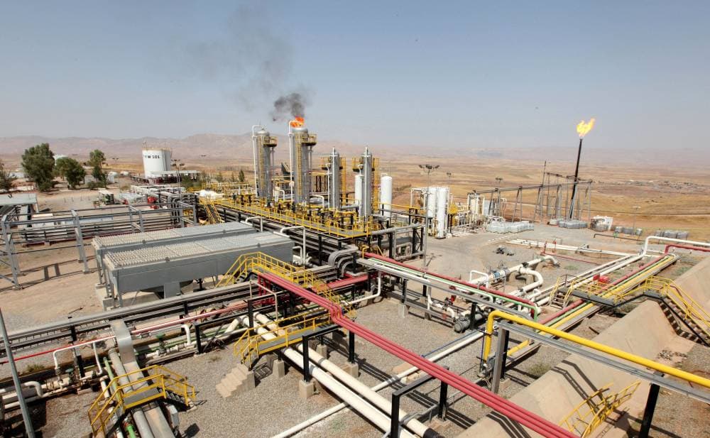  تشمل أهداف التنمية المستدامة توفير الطاقة النظيفة وحماية التنوع البيولوجي. "رويترز"