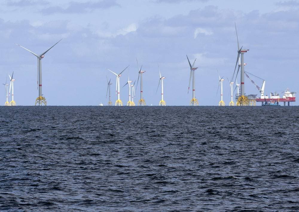 طاقة الرياح توفر 20 % من الكهرباء في أوروبا وتعد مصدرا إستراتيجيا للصناعة في أوروبا.