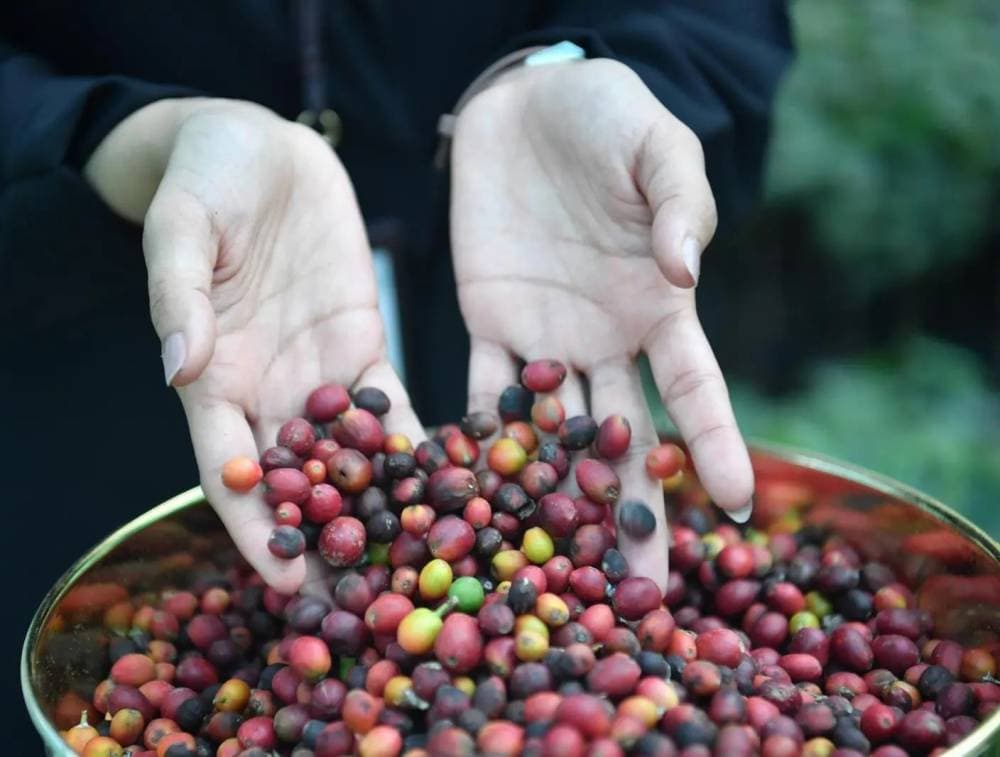 يتوقع الانتهاء من تنفيذ المشروع خلال العام المقبل 2025. المصدر: واس