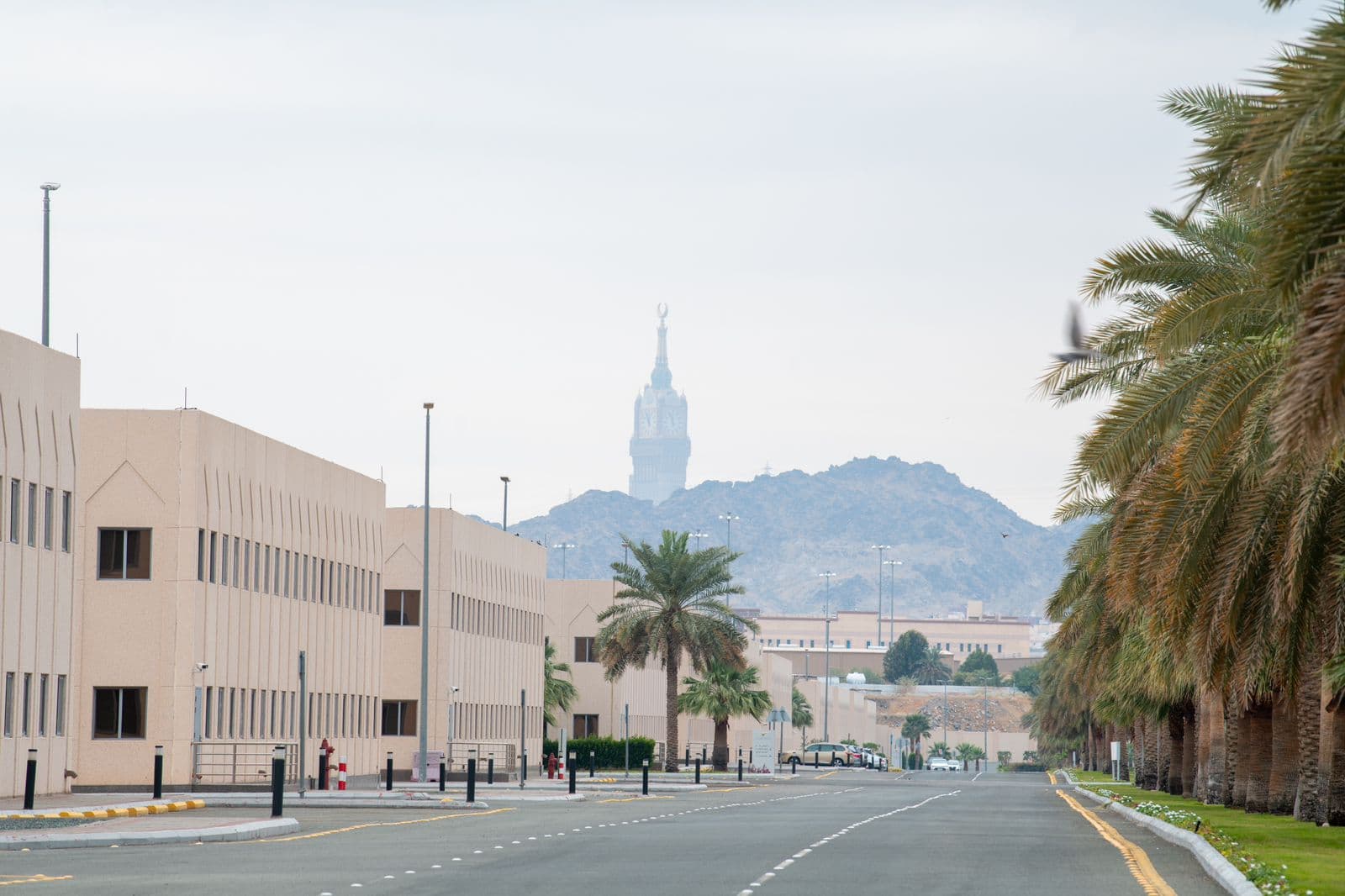 "عقارات الدولة" تعلن جاهزية مجمع الدوائر الحكومية بحمى المشاعر المقدسة