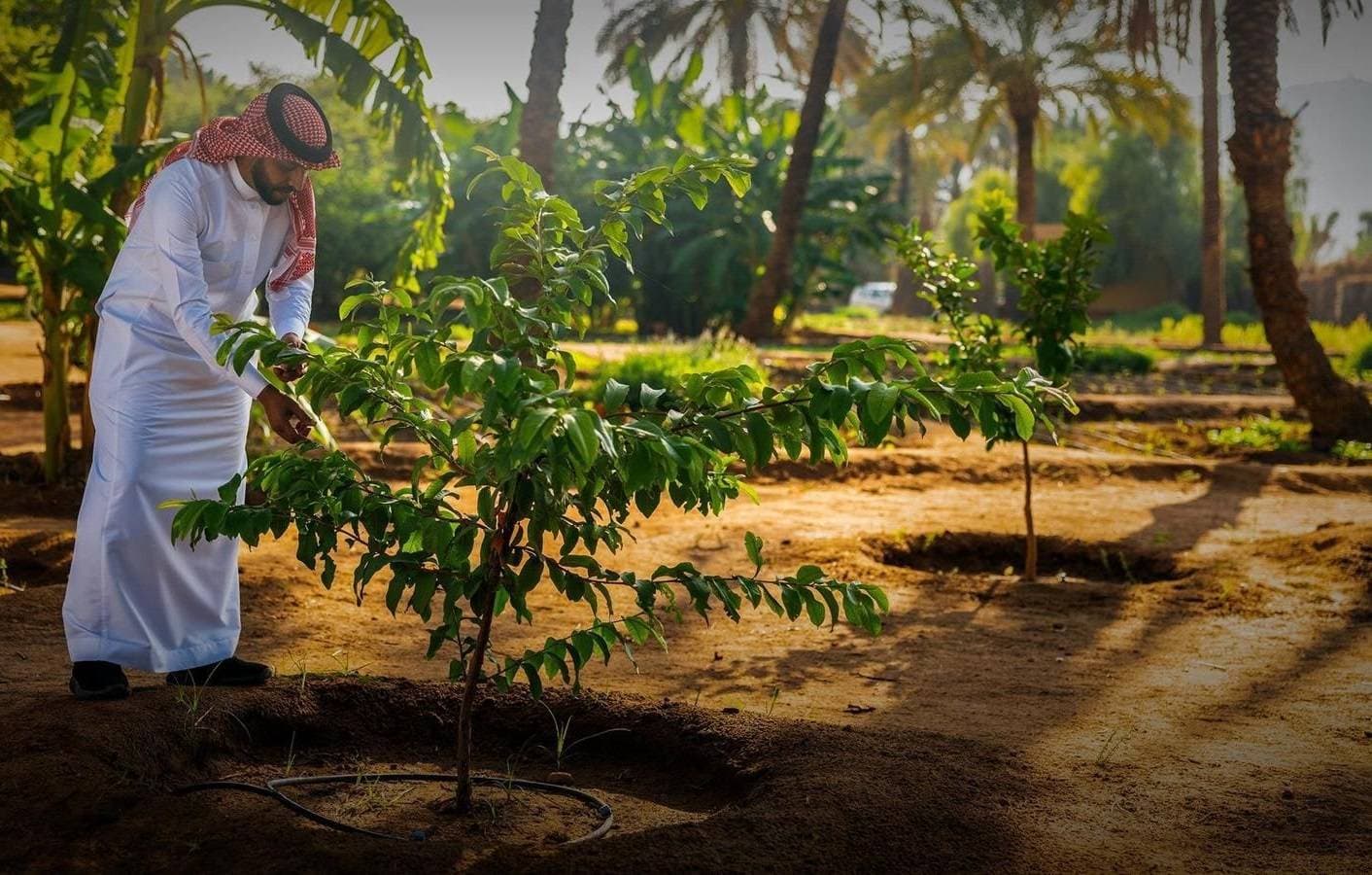 الضمانات المقدمة من قبل المستفيدين يتم تقييمها قبل تمويل مشاريعهم. المصدر: واس