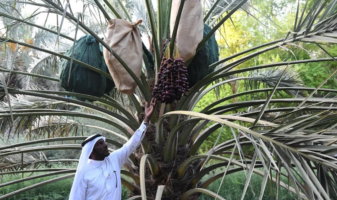 المصدر: "واس"