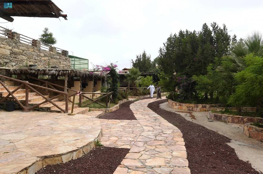 DST_2145337_6523906_20_12_2024072813064206