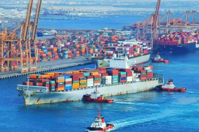 واردات الماشية ترفع المناولة في الموانئ السعودية 9.1 % خلال يوليو