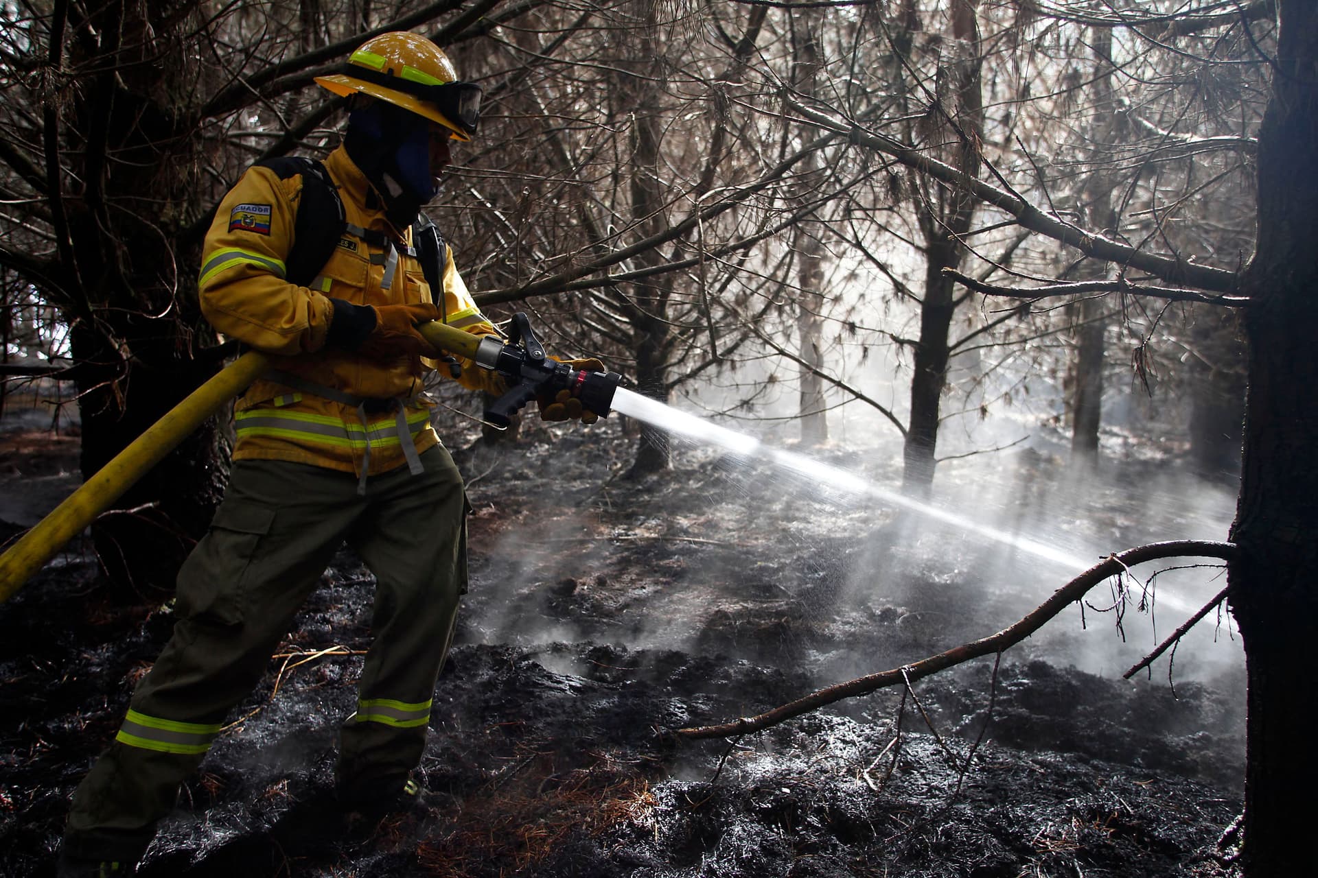 الجفاف يضرب غابات الإكوادور
