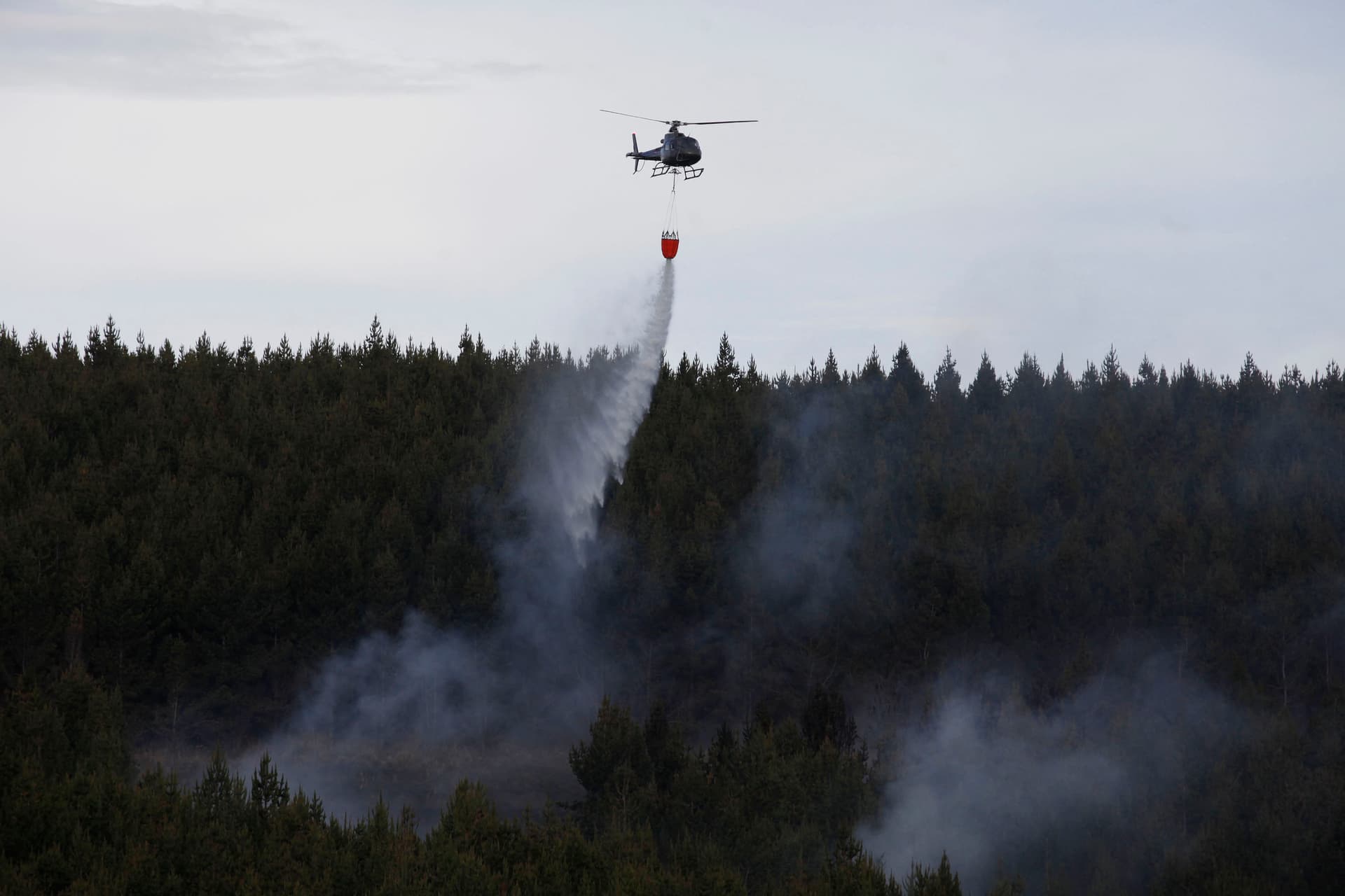 الجفاف يضرب غابات الإكوادور