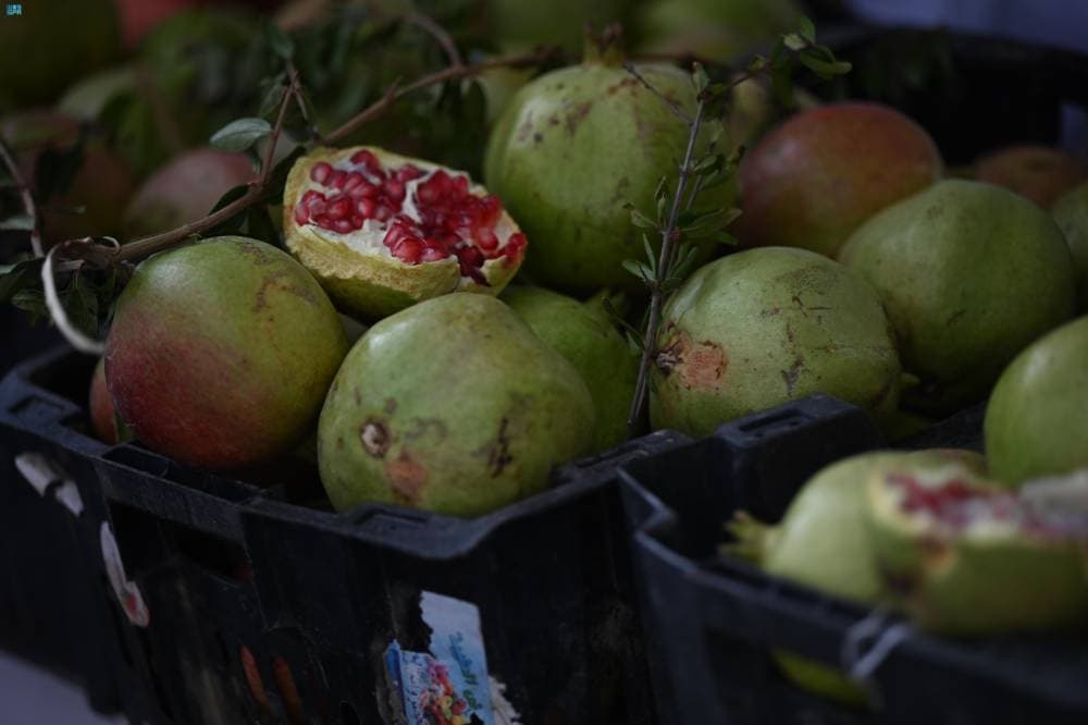 DST_2179561_6754715_16_4_2024092911503309