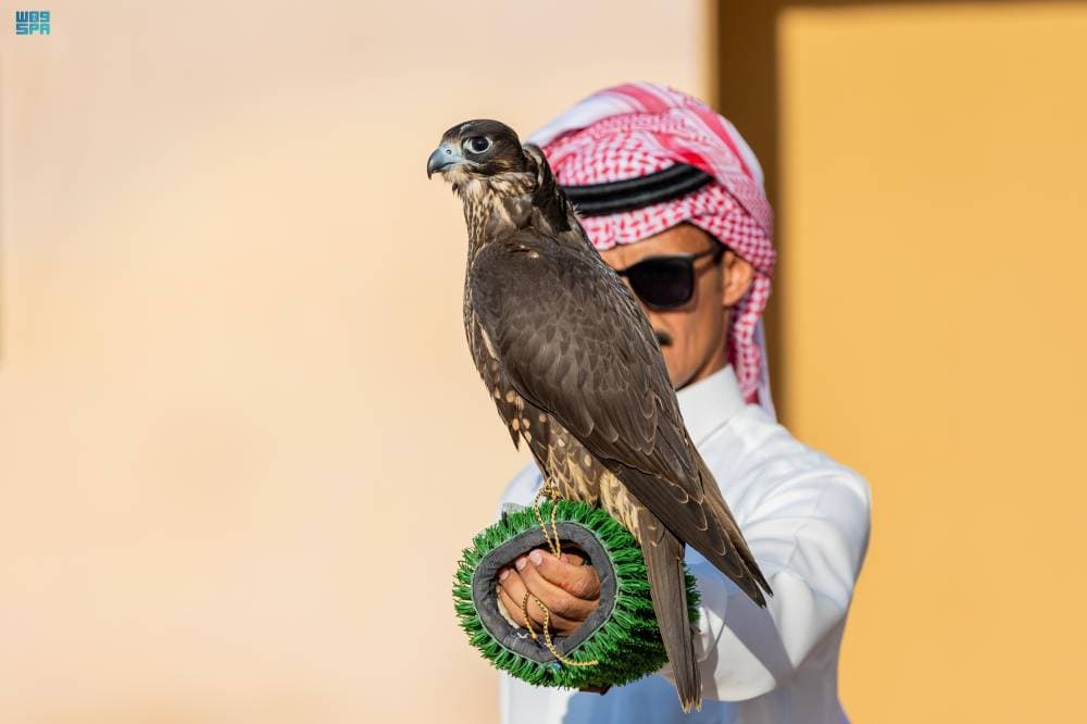 أبناء صقار يحصدون المراكز الثلاثة الأولى في سباق الملواح لفئة "جير شاهين"