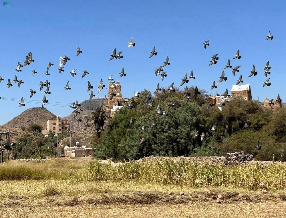 أكلات موسم حصاد الذرة في عسير تستهوي الأهالي والسياح