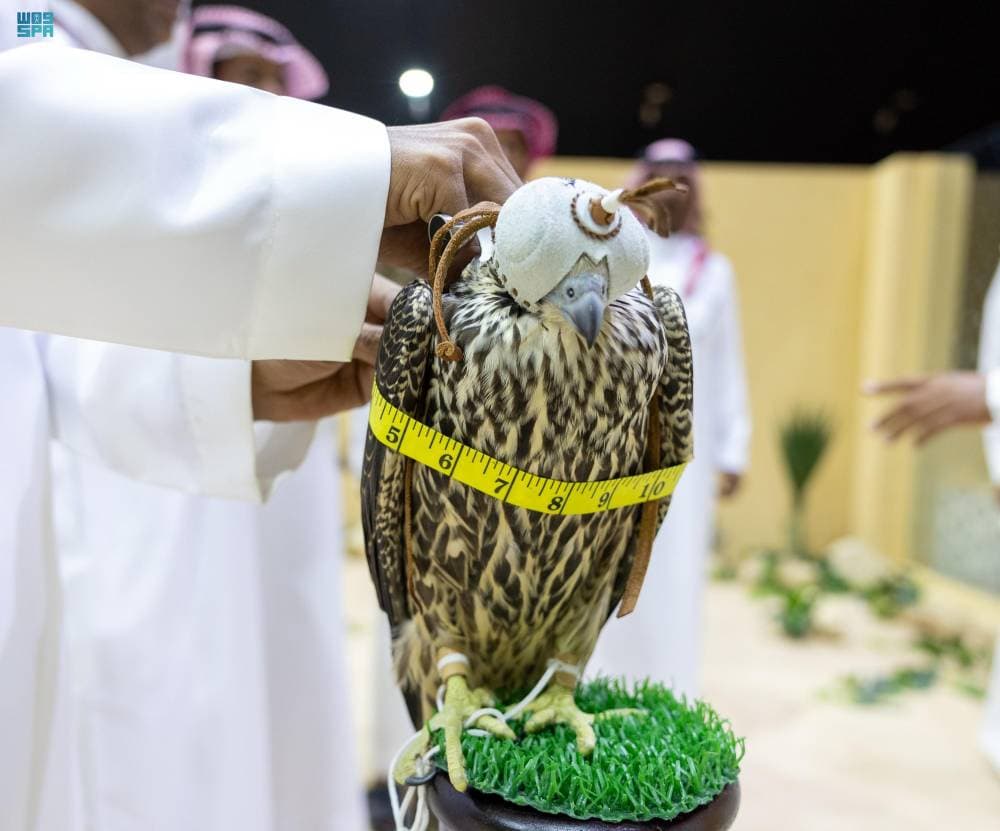 DST_2196935_6877621_129_4_2024102822342295