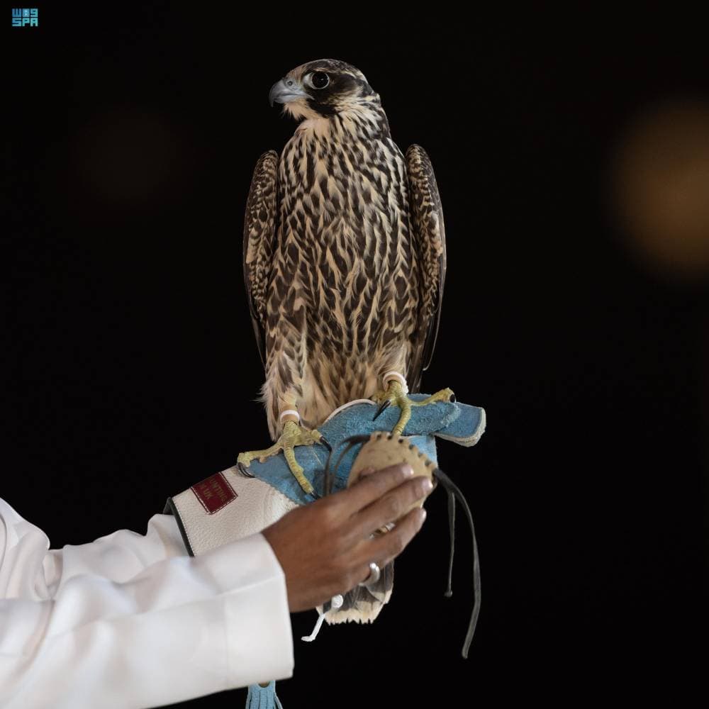 DST_2196935_6877620_129_4_2024102822342295