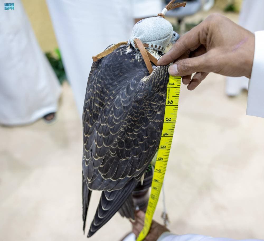 DST_2196935_6877622_129_4_2024102822342295