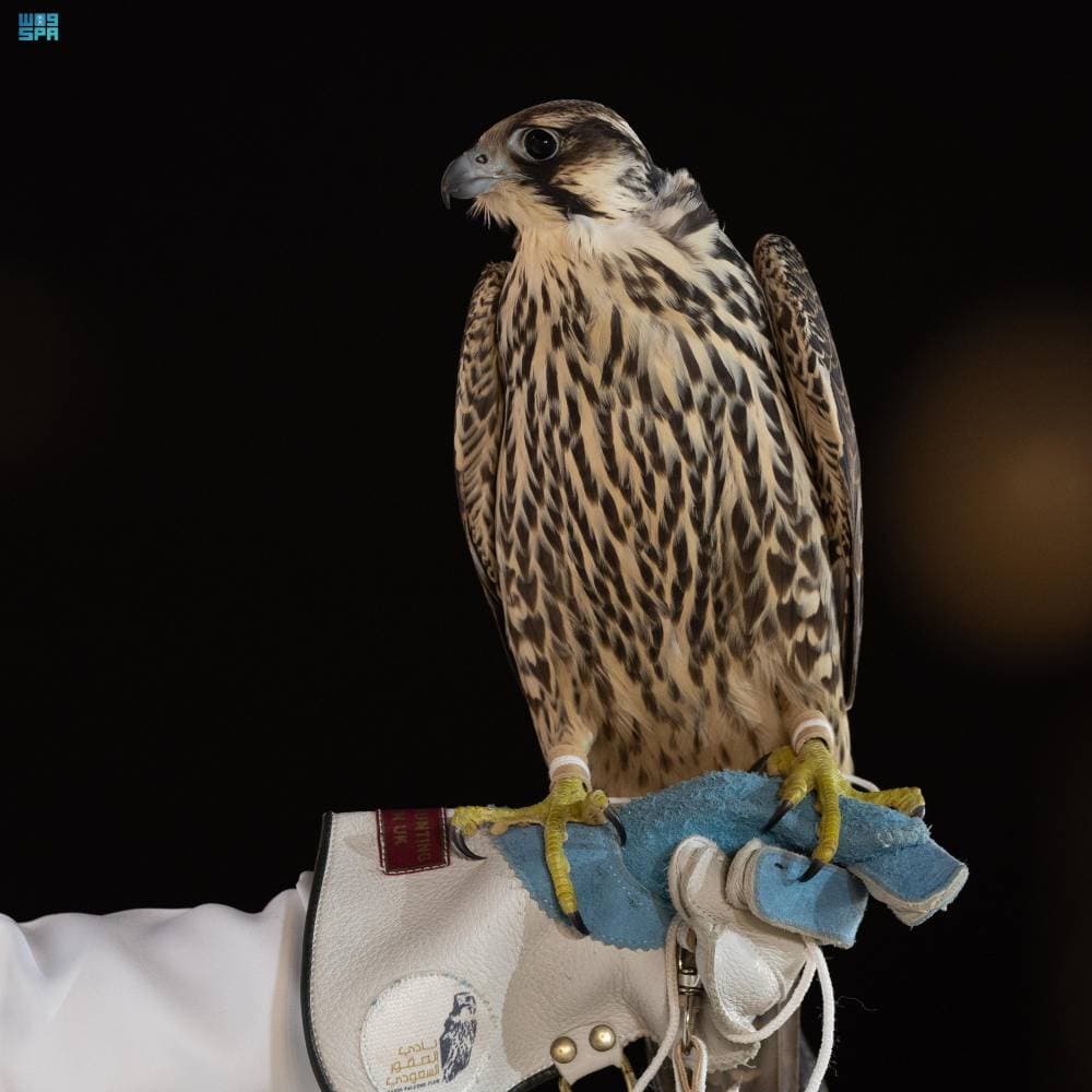 DST_2196935_6877623_129_4_2024102822342295