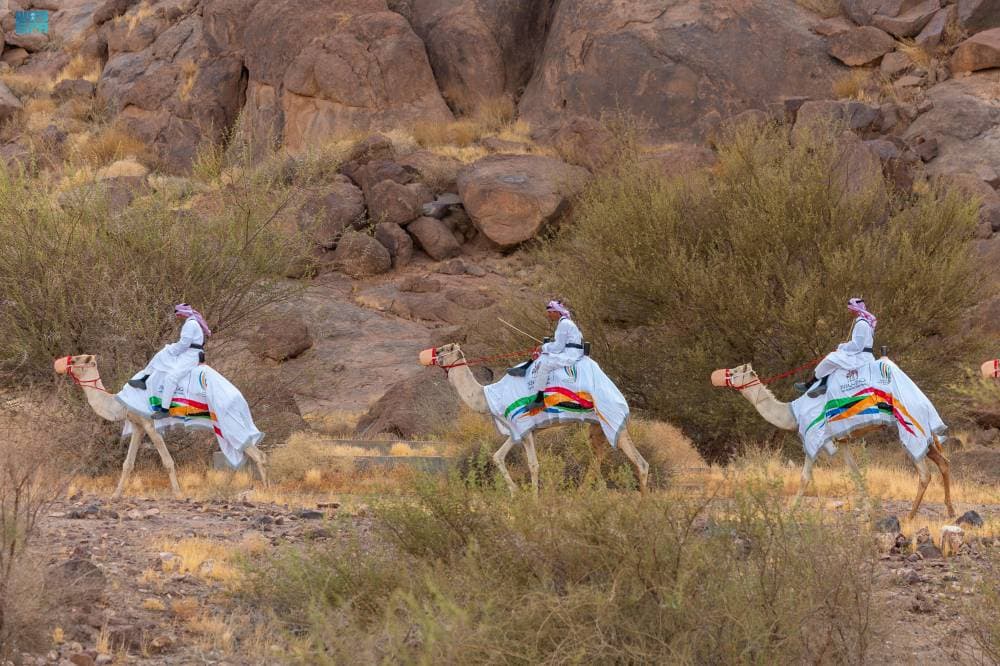 الألعاب السعودية تحتفي بـ "عام الإبل" .. رمز ثقافي وتاريخي ورياضي وحضاري أصيل