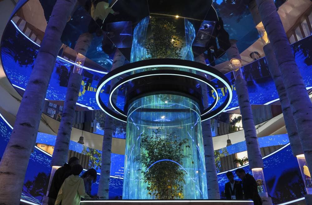 epa11718366 People visit Turkish pavilion in the Green Zone at the UN Climate Change Conference COP29 in Baku, Azerbaijan, 13 November 2024. The Azerbaijani capital of Baku hosts the 2024 United Nations Climate Change Conference (COP29) from 11 to 22 November 2024.  EPA/IGOR KOVALENKO