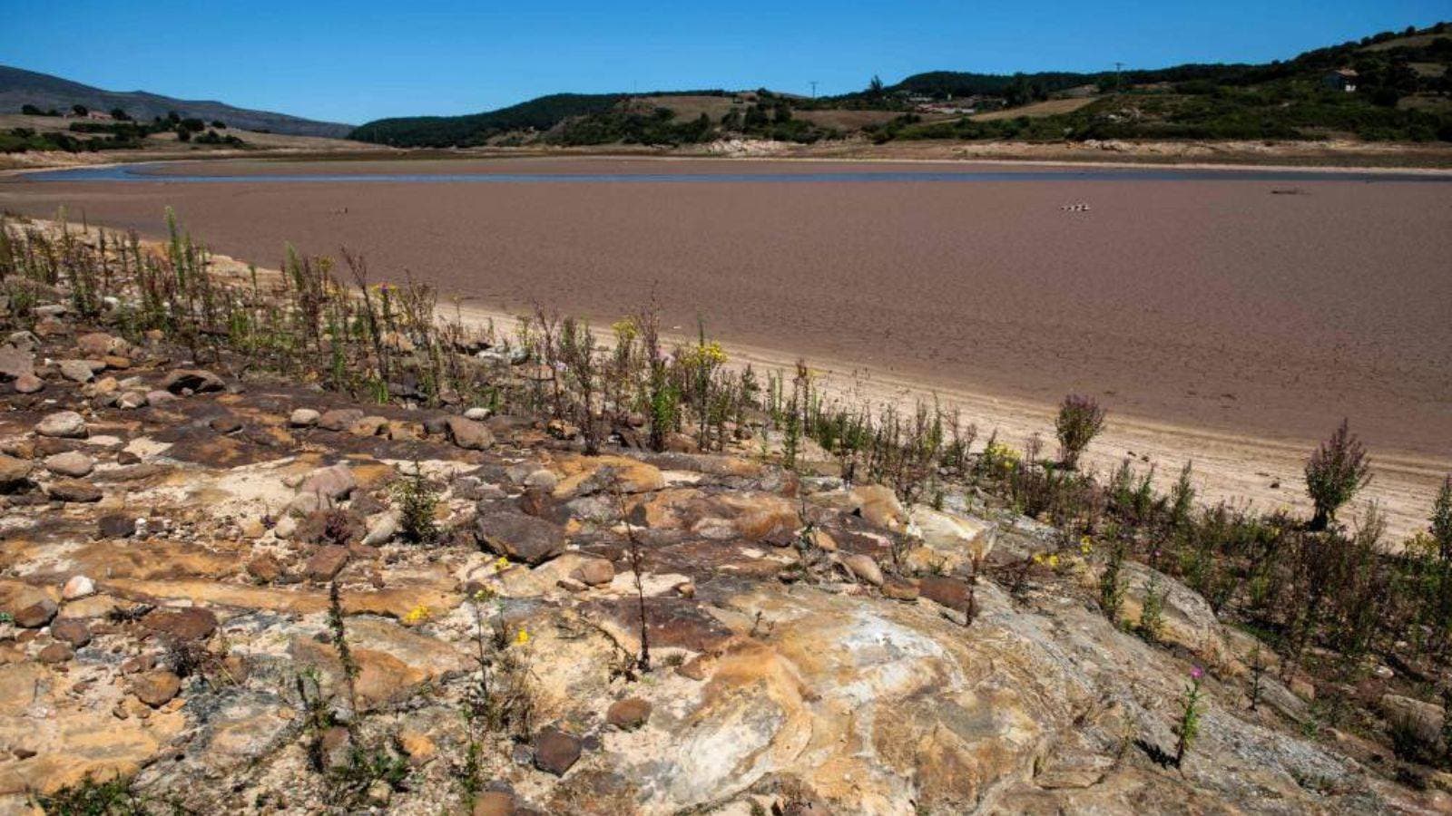 السعودية تدعو العالم إلى مواجهة تحديات تدهور الأراضي في "كوب 16"